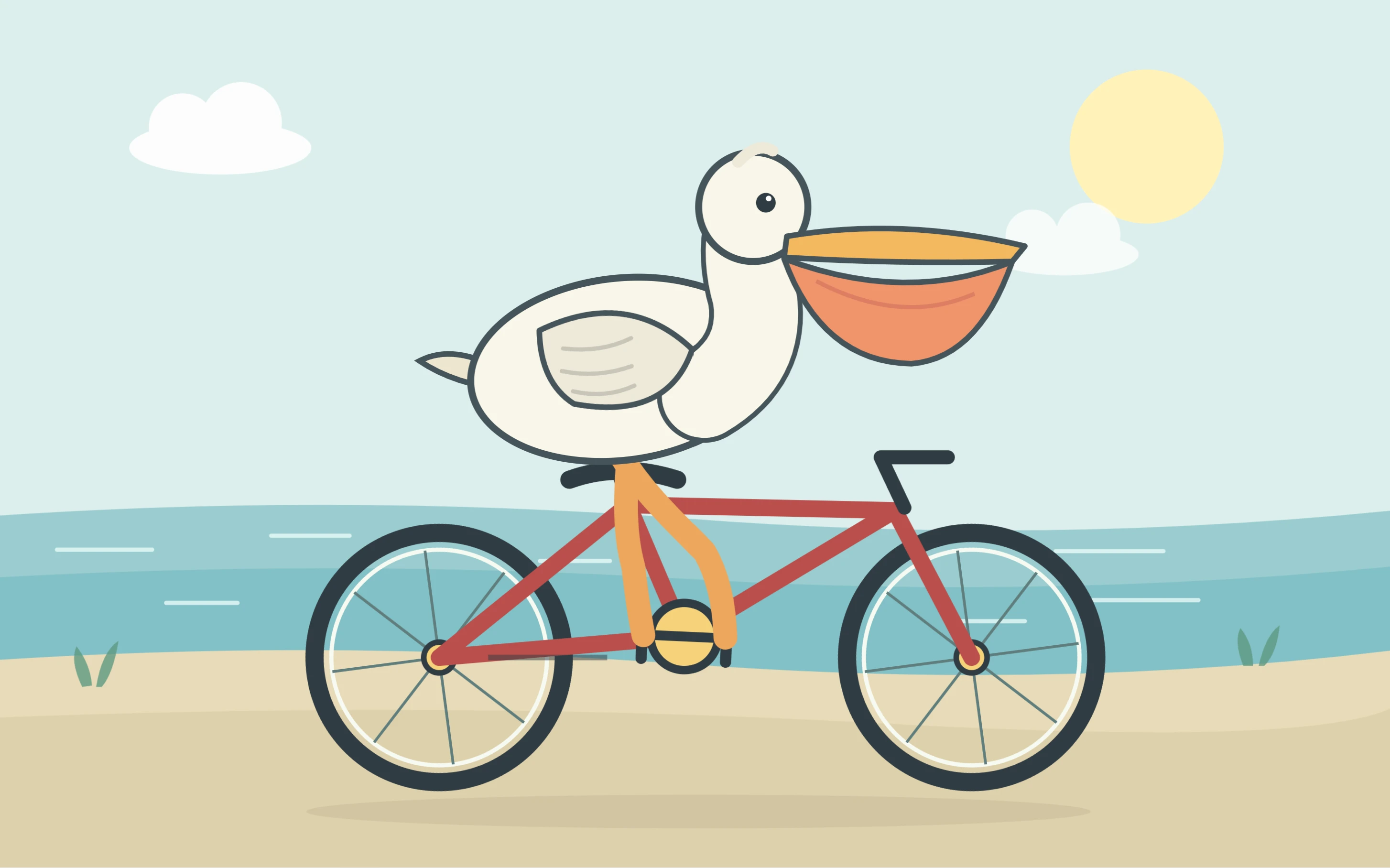 My pelican ride